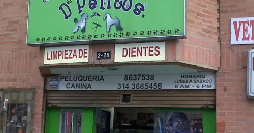 VETERINARIA D PELITOS VETERINARIA D PELITOS